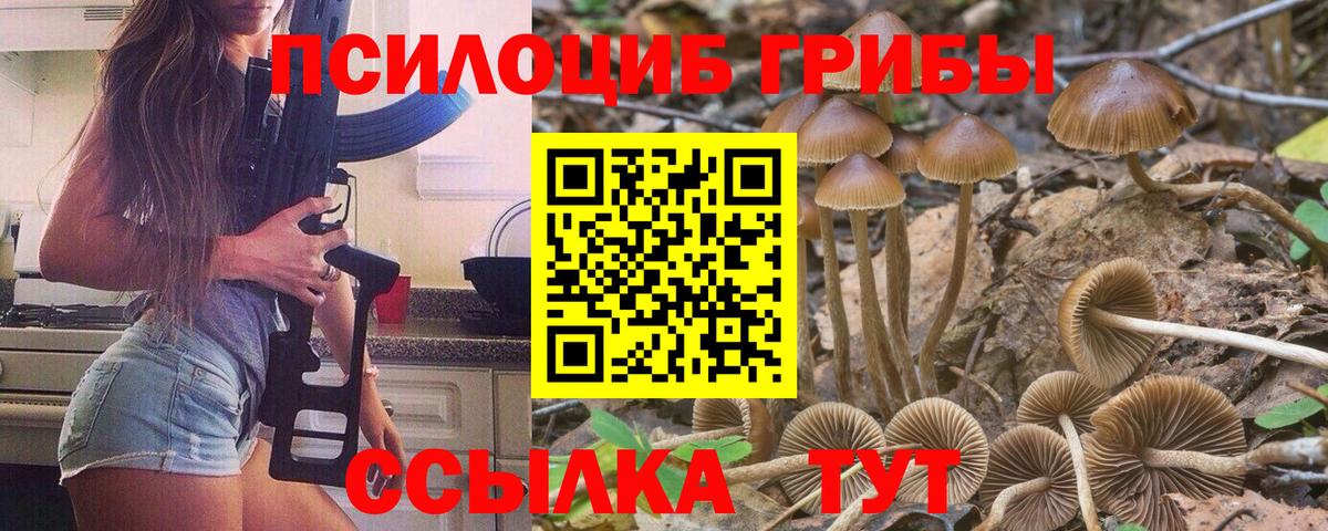 Галлюциногенные грибы MAGIC MUSHROOMS Ишим