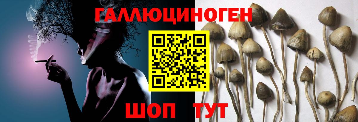 Ишим  Галлюциногенные грибы MAGIC MUSHROOMS  цены наркотик  Вход с VPN 